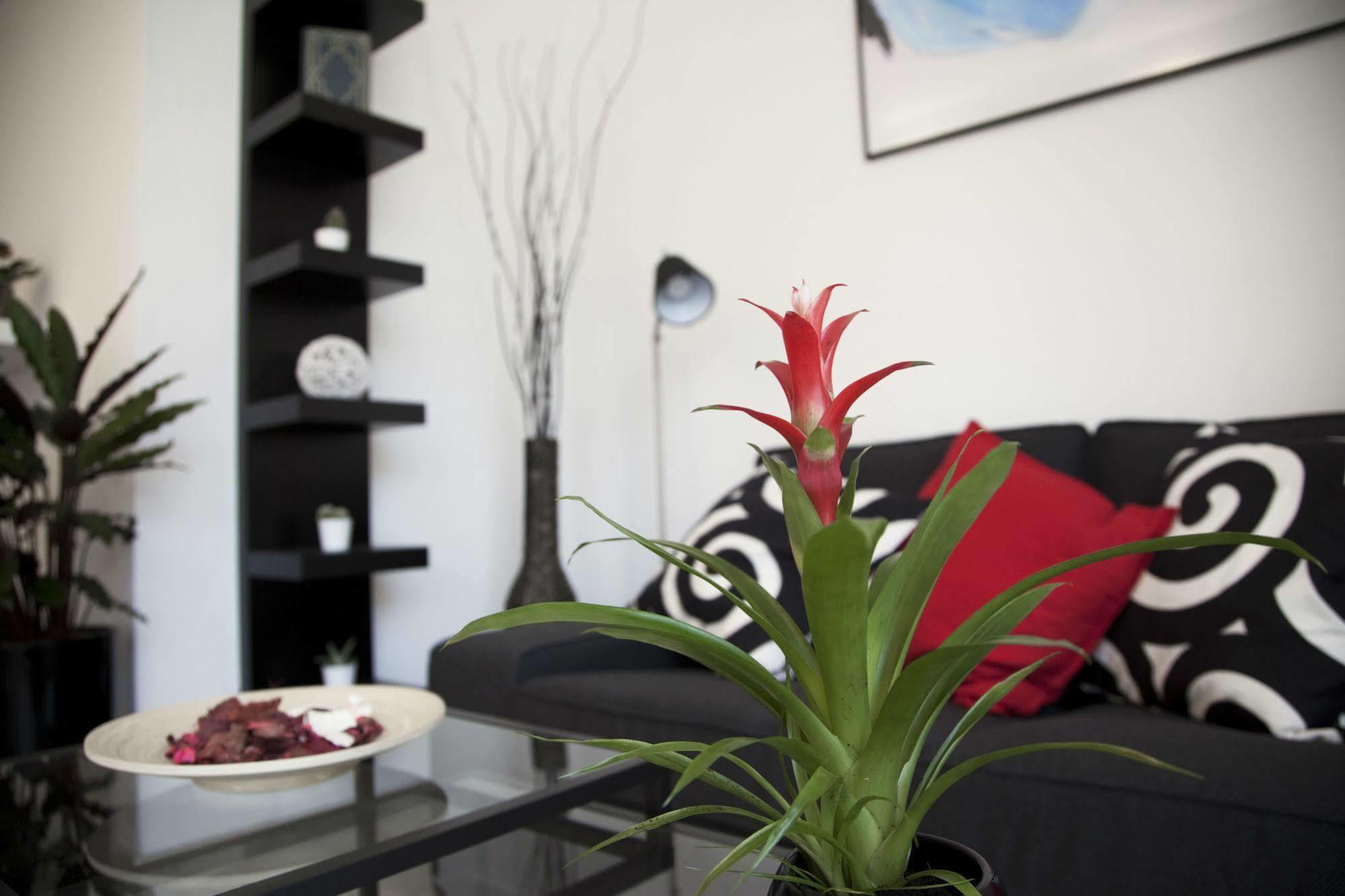 Bernate Ticino B&B Ca' Nobil المظهر الخارجي الصورة